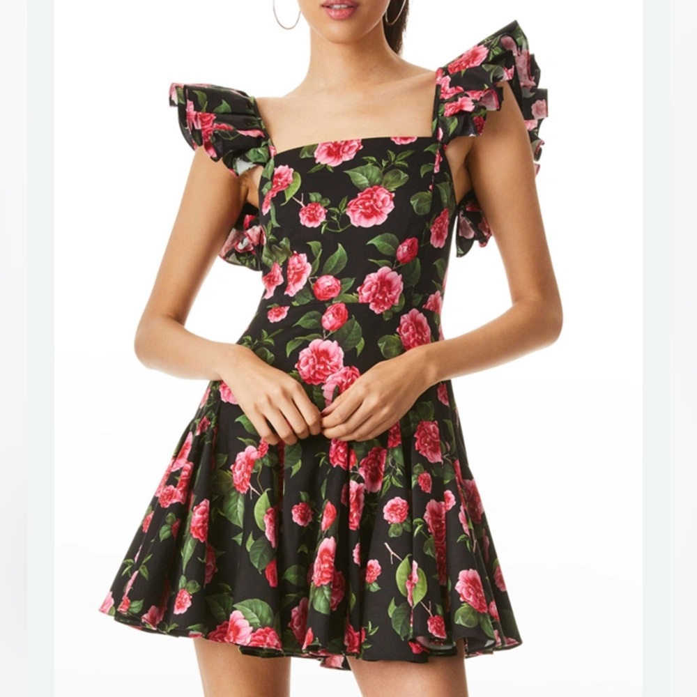 Alice + Olivia 2 Ginny Godet Floral Mini Dress ~ Roses Ruffle Party Fairy